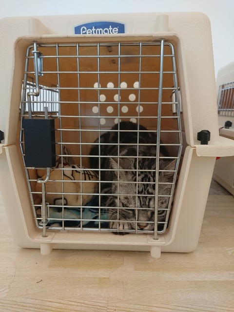 [画像:458875bd-s.jpg]