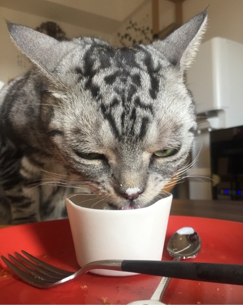 {CCCDD9A1-9F79-4088-930F-3B0B501FE387:01}