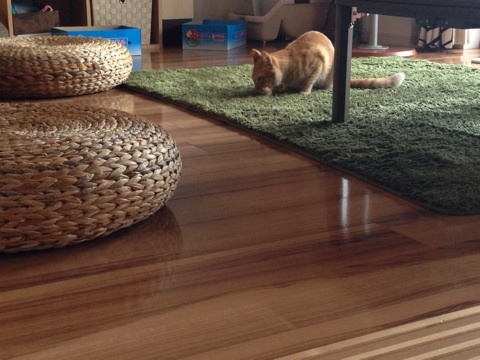 {4F86417E-3FB1-4E3B-B53F-5FDE2D1546CB:01}