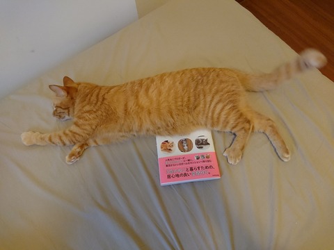 [画像:46194b94-s.jpg]