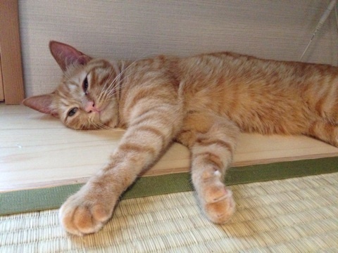 {158774CC-3C5E-4317-9826-0EA9724A5F58:01}