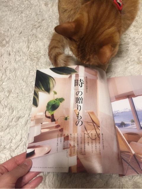 {B674BD12-179E-4DF5-B6C1-6DA414BE0DCB:01}