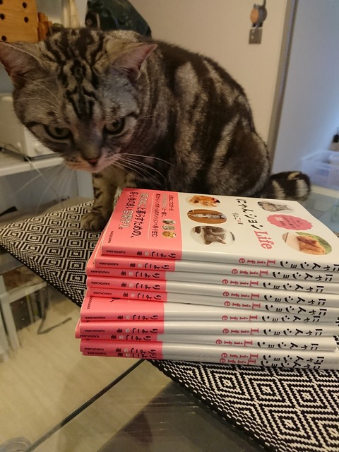 [画像:46a11665-s.jpg]