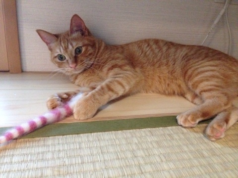 {2812E546-5C6B-40E1-A193-2DA2024CCDE9:01}