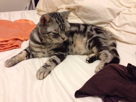 {8A51F194-B466-4DAE-A1D1-DDCE258C47A5:01}