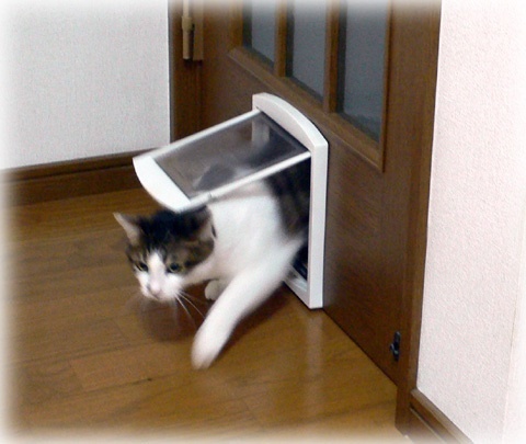 photo:01