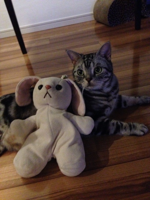 {DC7059D1-83B5-4D43-9EF6-077B9B9ED4C3:01}