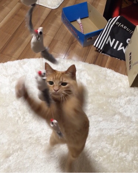 {708BE6DB-3B43-460C-86F9-EC9EBE0AC3F7:01}