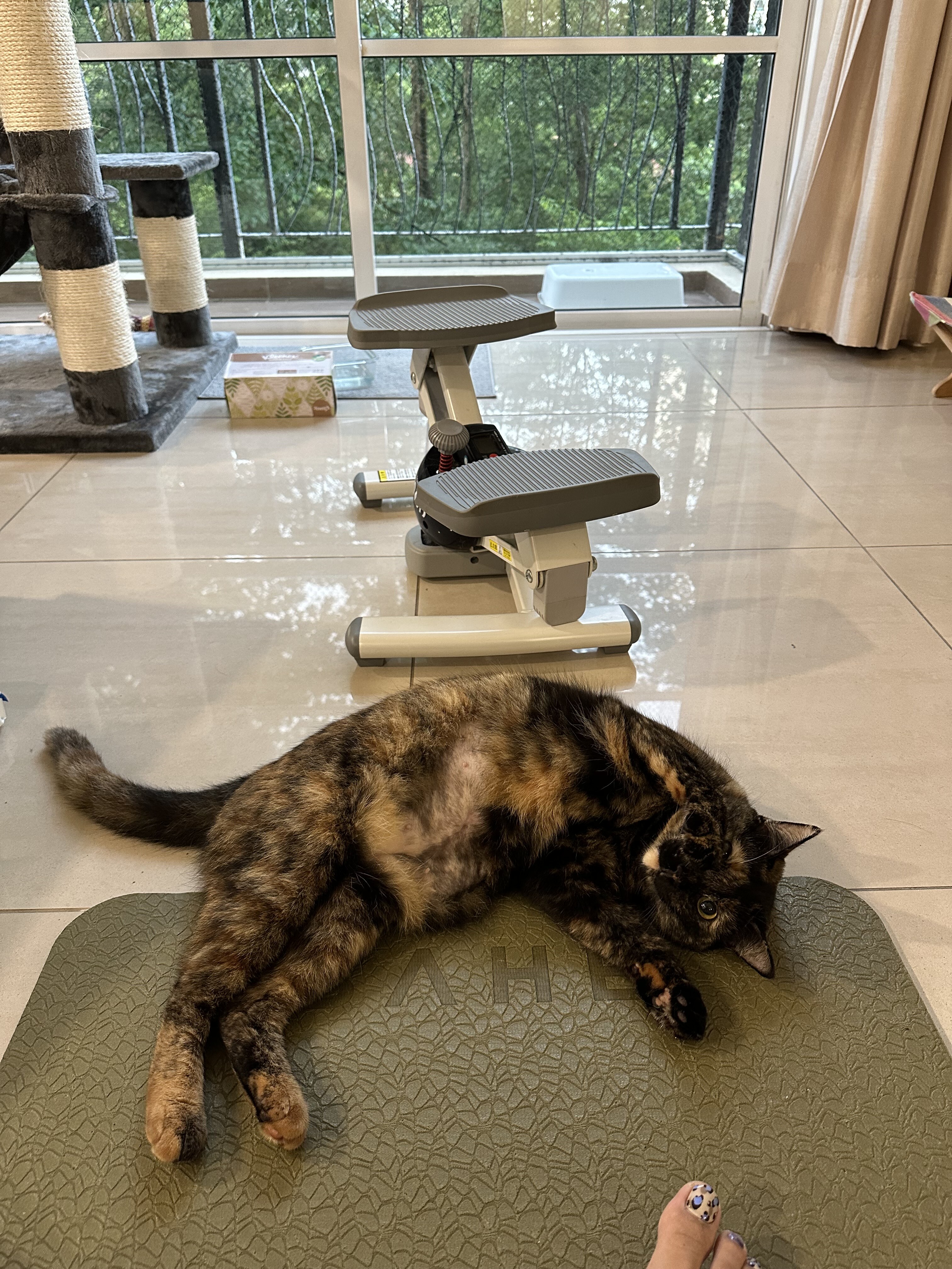 ねこかわいい様専用 ヨガマット&タンク