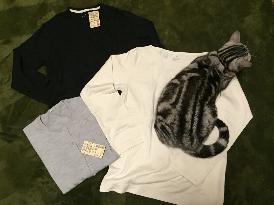 無印良品のトップスはメンズサイズがいい感じ ねころぐ にゃんごくlife クアラルンプール Powered By ライブドアブログ