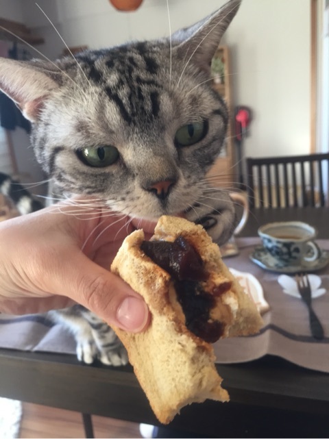 {CB40DA8D-B450-4A69-A092-0375B82F737E:01}