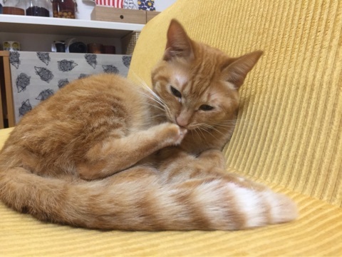 {29176A2A-7566-45D4-B69F-5FF3DA2490F0:01}