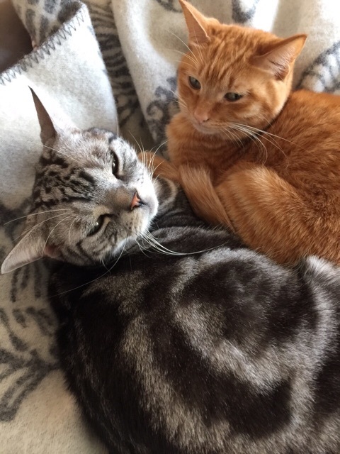 {F34DA8C6-1021-4D1F-9390-CE15B32D4810:01}