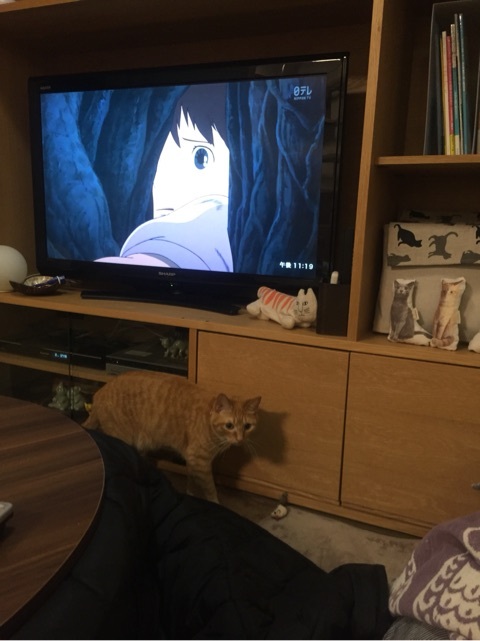 {CBBAB1D1-6E73-4A03-8CBD-AF48BF0C3F58:01}