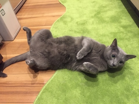 {614C82D9-7E1B-46CA-8C0D-7F5526C0280D}