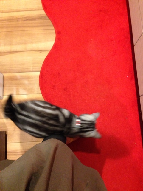 {96425014-15D4-4CC4-9946-FD7059CD1F47:01}