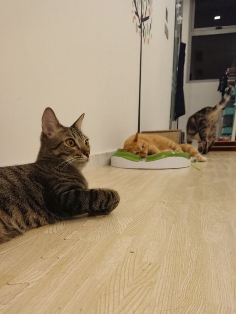 18-04-12-08-14-17-188_deco