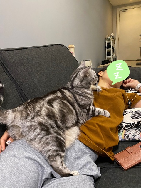 21-11-18-16-12-03-748_deco