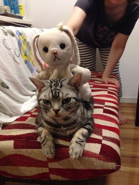 {3E5247F7-391D-4E1F-B029-EBBD65BE2689:01}