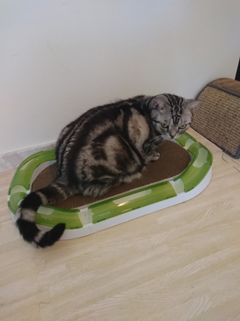 DSCPDC_0000_BURST20180409160234522