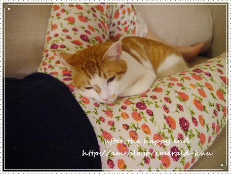 {97D631C8-9EA5-4BB1-8280-45017F6A3B4A:01}