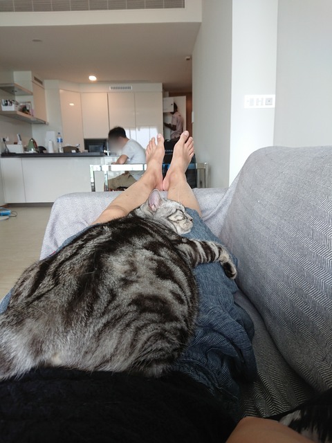 Point Blur_20181209_162934