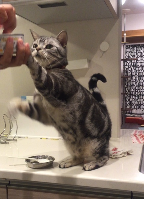 {3D5027D8-7DC9-4A60-A194-903362D3F040:01}