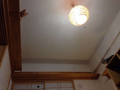 {393D25FE-6239-445E-AF2B-BAC1F793B3CB:01}