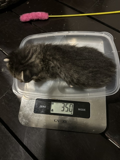 FullSizeRender