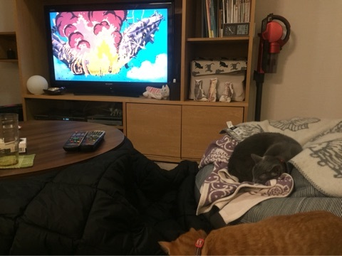 {0F1B3603-C78B-42C6-AB26-137CC20D4FCE:01}