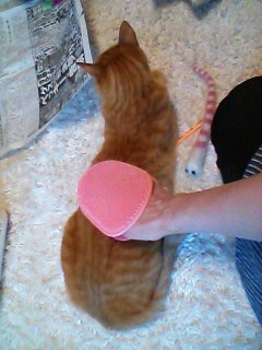 {95339F07-2EE6-4DB7-80B6-B75CB2F5059F}