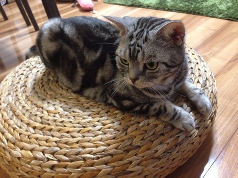 {C51D79A8-61A5-4EFB-9D66-4E42D17DF676:01}