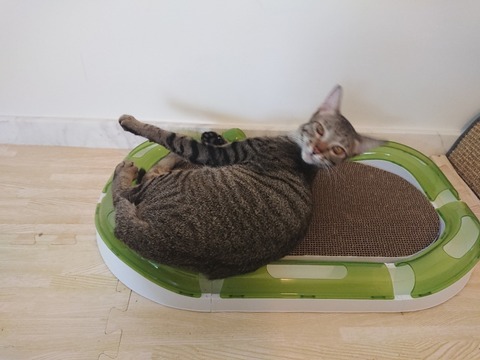 DSCPDC_0001_BURST20180409153932702