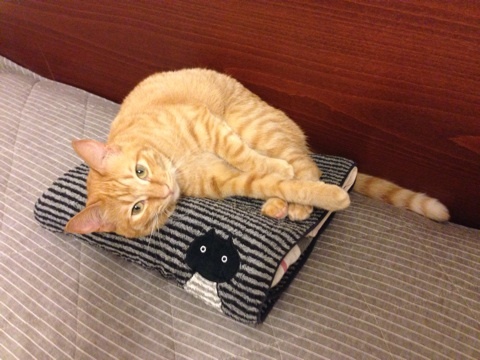 {57F64D90-9B49-47B6-A146-7A2590E982CA:01}