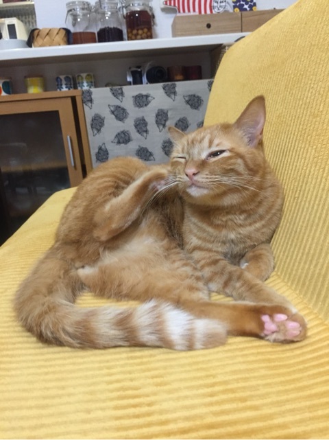 {C4FAFA82-4071-4A9A-BF9D-0BF9B52B5C1F:01}