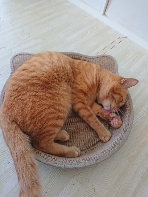 DSCPDC_0000_BURST20180323151242953