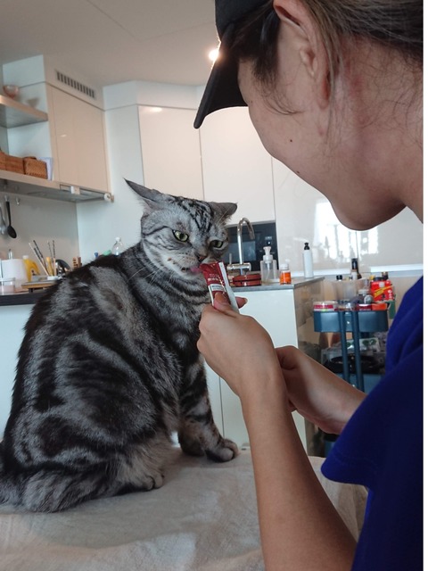 19-11-18-18-58-59-406_deco