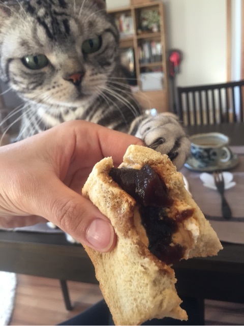 {1F5B7D15-23C7-42FF-A947-760599BDE422:01}