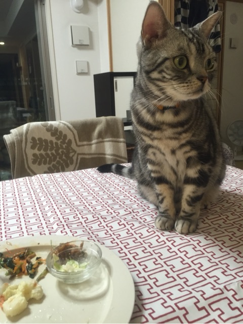 {EA051711-73EB-4B38-B250-9875773850BF:01}