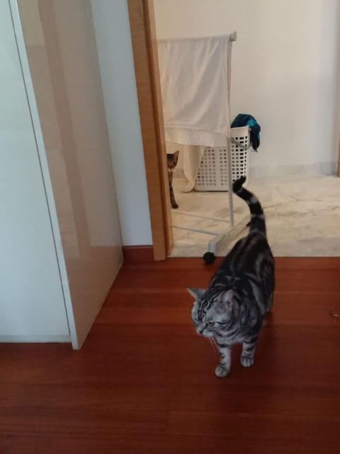 18-11-24-21-07-36-080_deco