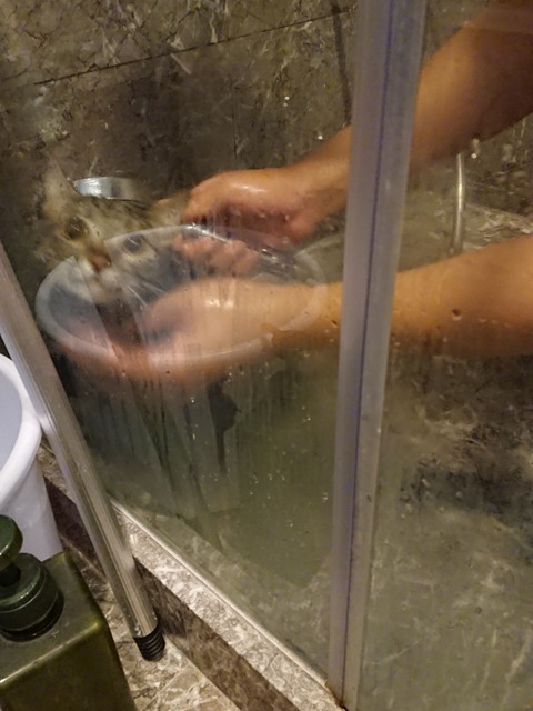 18-08-24-08-54-23-689_deco