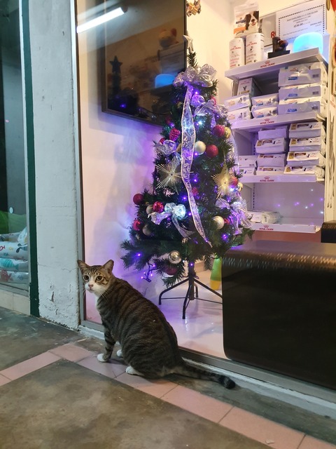 20191211_222906