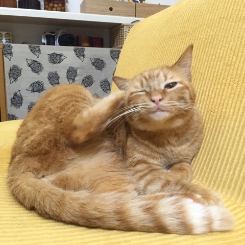 {812D319C-8DE6-4E14-B908-9E4378C07D4D:01}