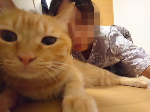 Point Blur_20190329_064643