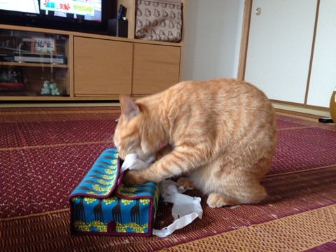 {2ECBFF6C-AF6B-4481-911B-EEDE6B092612:01}