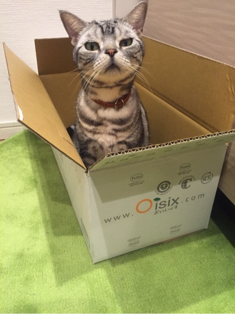 {D2E7E447-423A-42E3-B2E1-DCCBA0CD1F28:01}