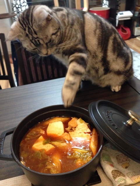 {9B48E6B1-8FF9-4BE9-BAFD-3E520054F853:01}