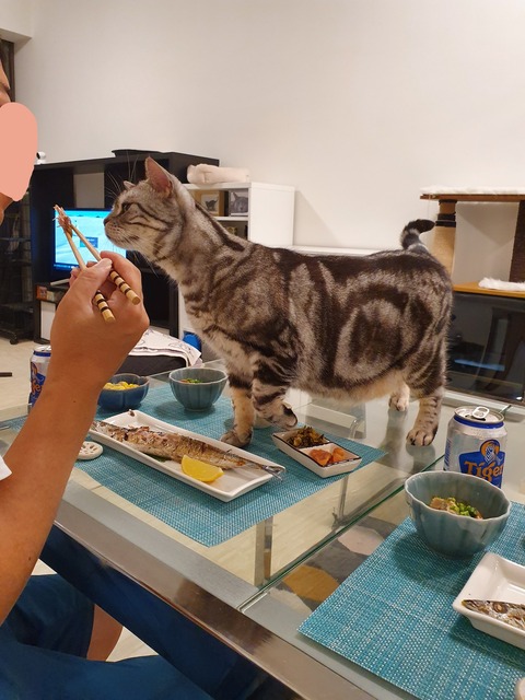 19-10-16-07-33-31-753_deco