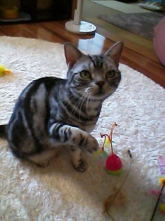 {9D53EBEC-F472-4FA5-BF37-FA9513A39C03:01}