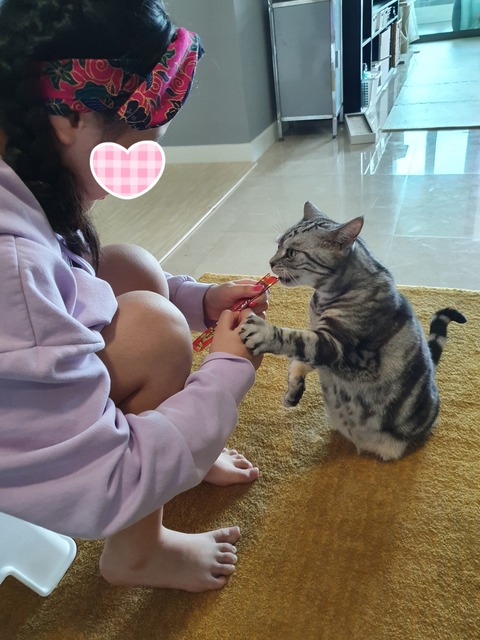 20-07-23-08-09-53-523_deco